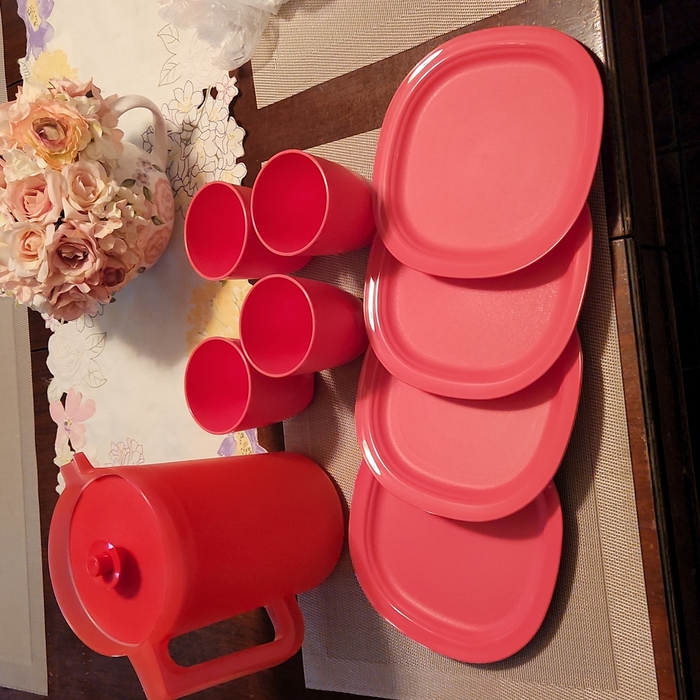 NEW 1 Pitcher, 4 plates and 4 plastic glasses